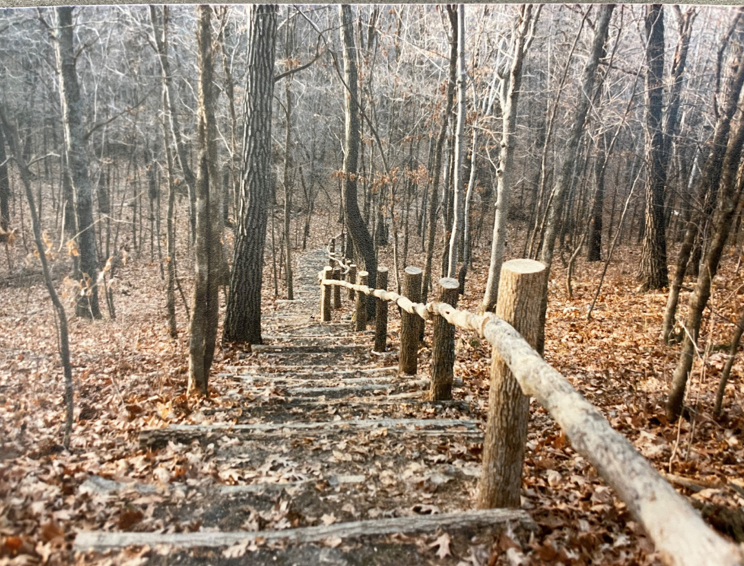 Log steps leading to a trail.