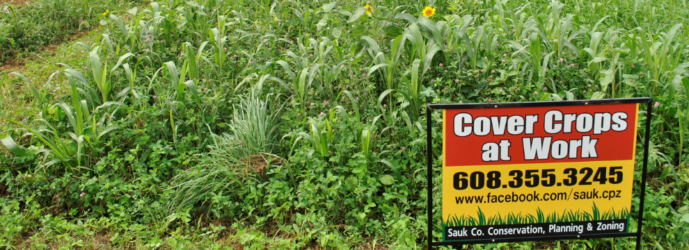 Cover Crops