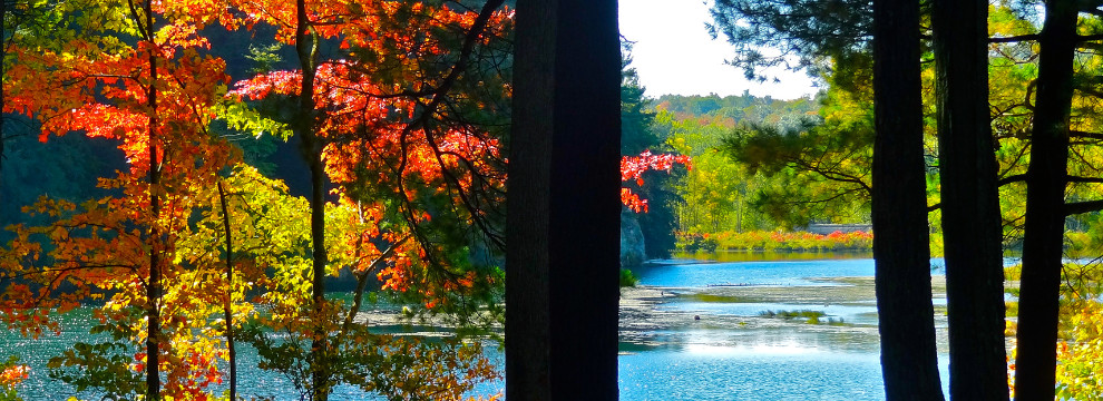Hemlock County Park