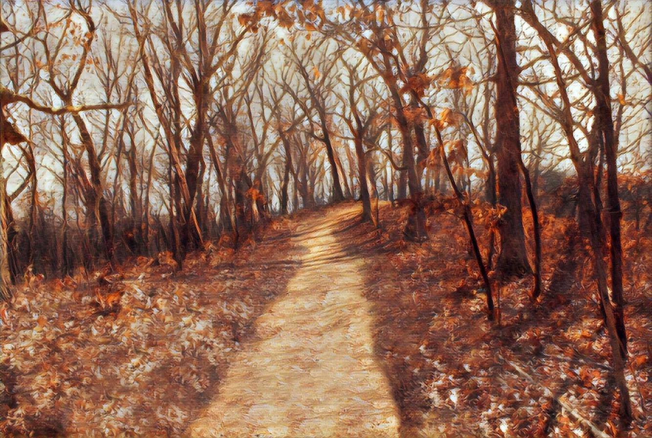 Willie Walsh Nature Trail