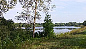 shoreland