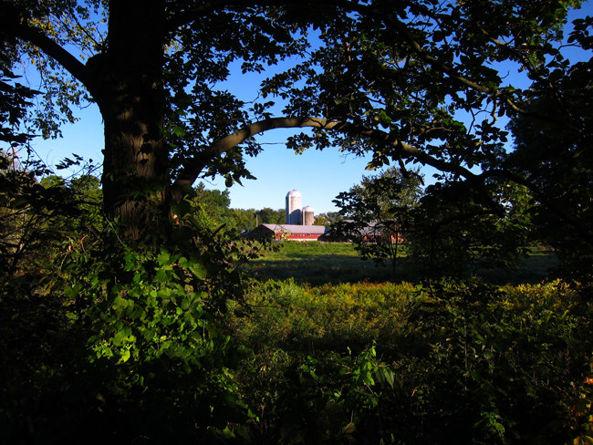 Farmscape