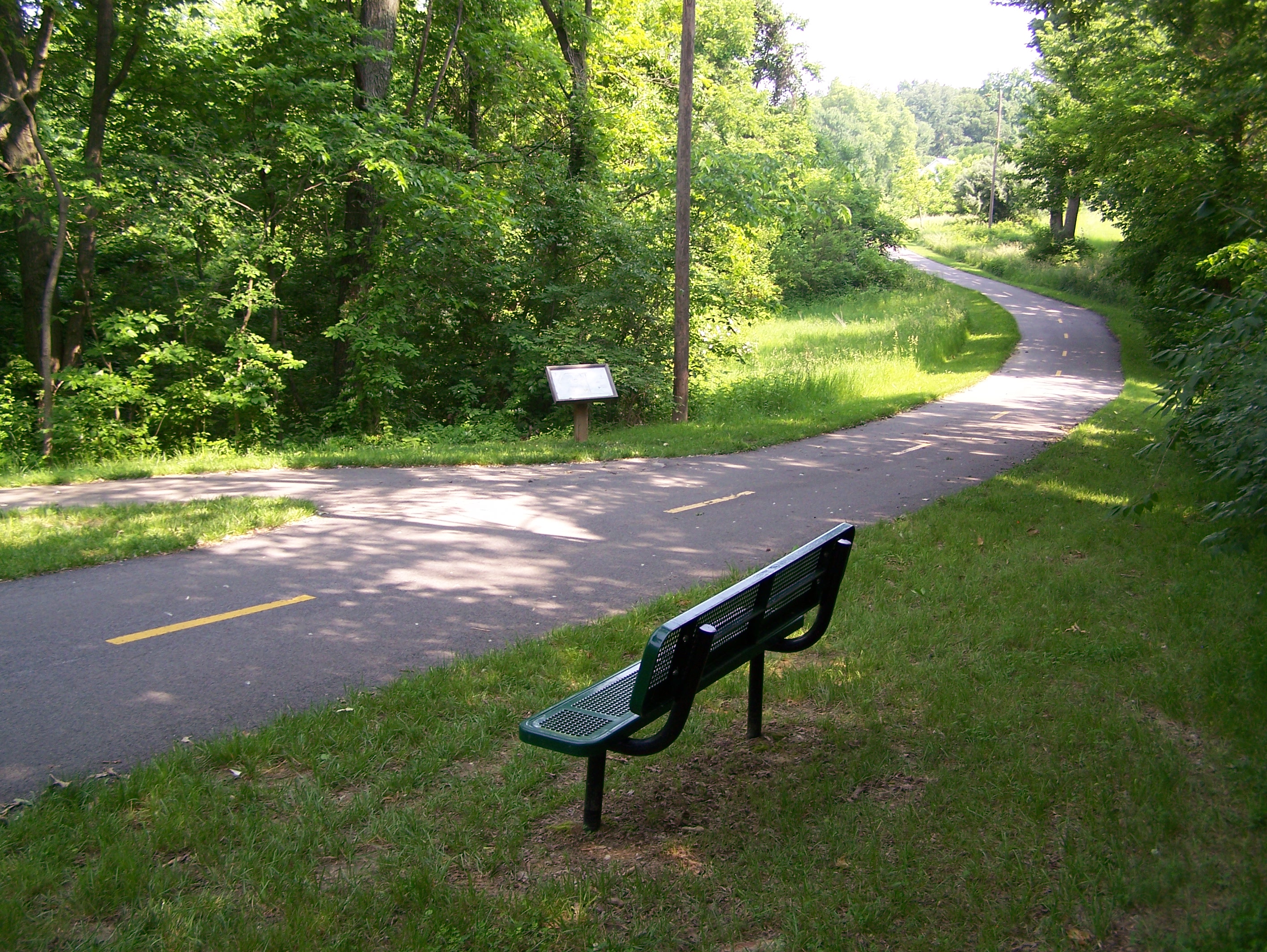 trail and bench