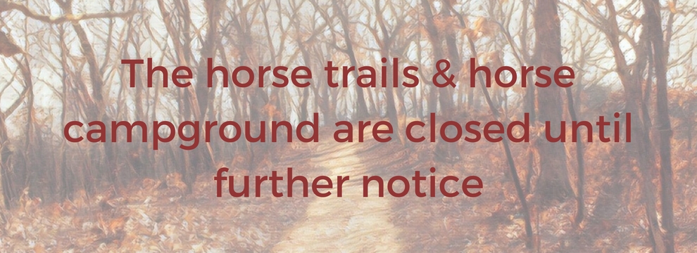 Horse trails and campground closed