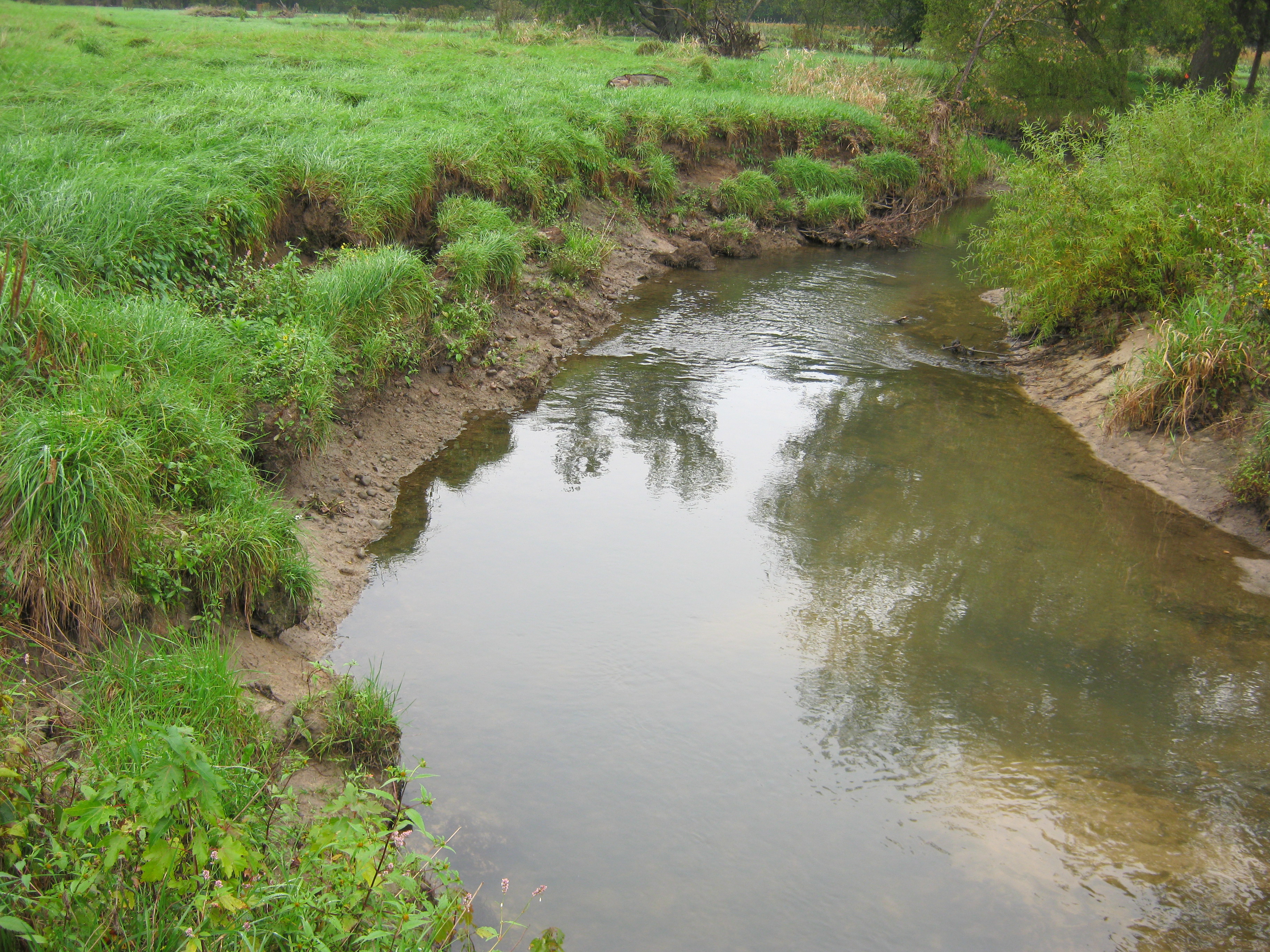 looking down stream