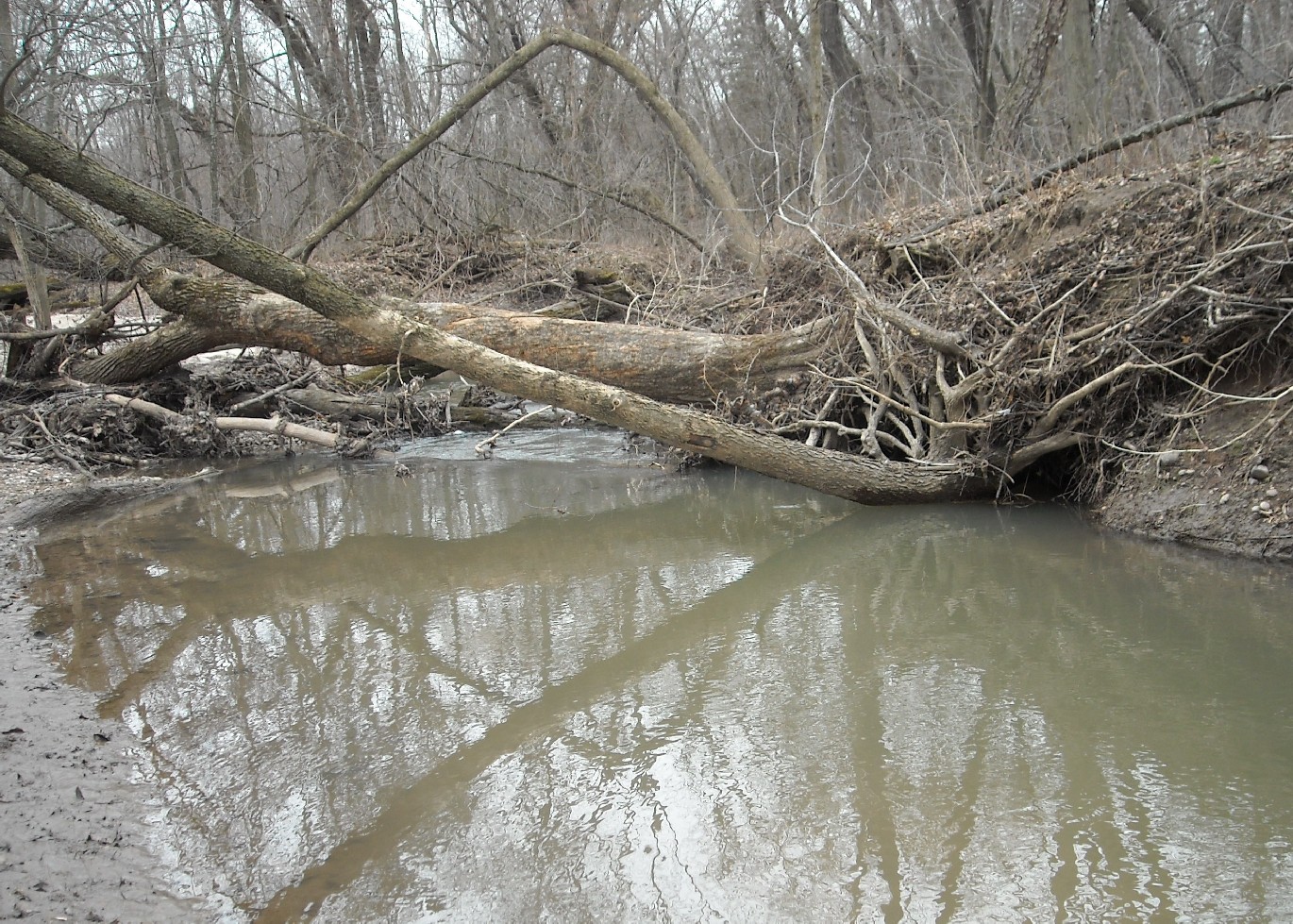 deadfalls photo