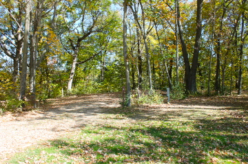 Picture of site 08E