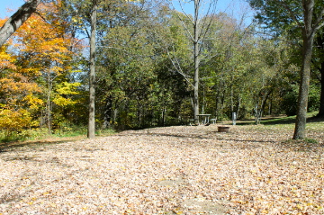 Picture of site 21E