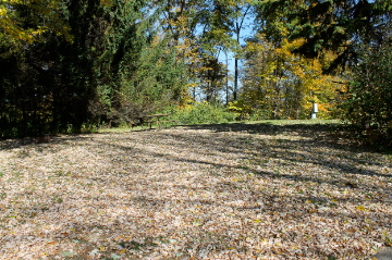 Picture of site 25E