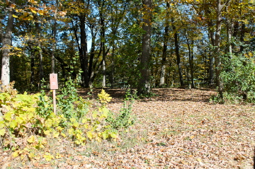 Picture of site 31