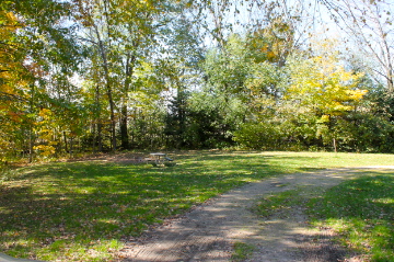 Picture of site 42
