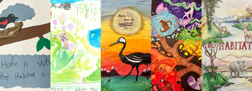 2025 Poster Contest Winners