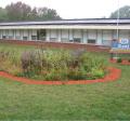 Rain Garden at East Elementary in Baraboo, WI