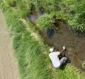 Staff member taking a sample while standing in the stream
