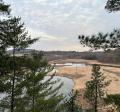 Overview of wetland complex with pine trees.