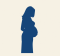 Pregnant mother 