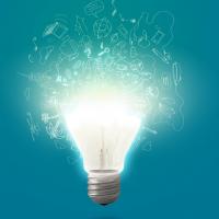 New Idea Grant
