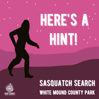 Sasquatch Search hint announcement at White Mound County Park, with a Sasquatch silhouette against a night sky