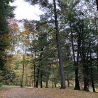 Hemlock County Park 