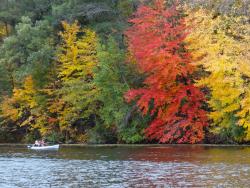 Image Description: People canoeing along edge of river. Edge of river lined with trees in fall foliage.