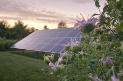 Solar panels in the sunset. 