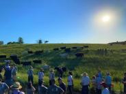 June 16, 2022 Hutter Pasture Walk