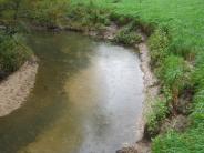 looking up stream