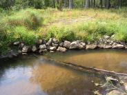 Log placement example