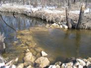 Rock weir image