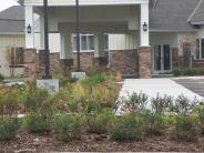 Plantings at the Main Entrance