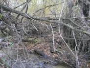 Clark Creek Flood Damage