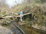 Clark Creek Flood Damage