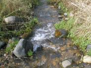 Clark Creek Flood Damage