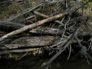 Clark Creek Flood Damage