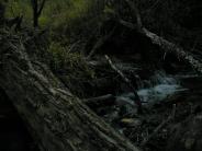 Clark Creek Flood Damage