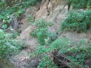 Clark Creek Flood Damage