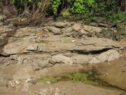 Clark Creek Flood Damage