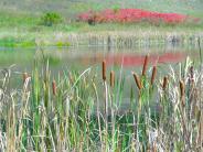 White Mound Lake perspective from shoreline