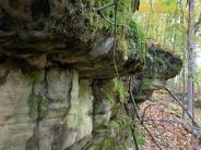 Small rock wall in woods