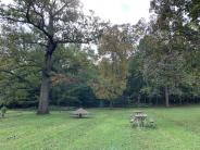 Large oak tree shading merry-go-round, picnic tables, and restroom