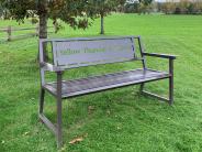 Metal bench beneath tree with Yellow Thunder Memorial engraved in back rest