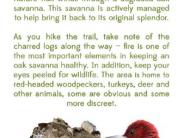 Information about the Oak Savanna