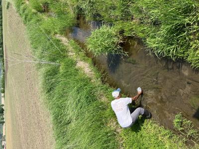 Staff member taking a sample while standing in the stream