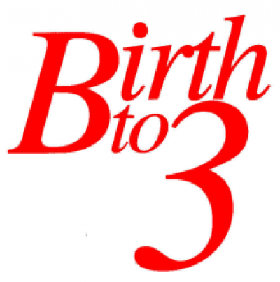 Birth To 3 Logo