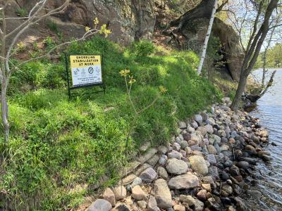 Shoreline Stabilization