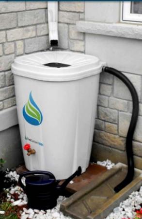 Rain Barrel