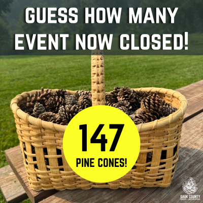 Guess How Many event now closed, 147 pine cones in a picnic basket shown sitting on a table outside