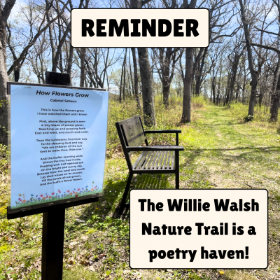 A bench sits next to a grassy trail in a wooded area, the poem How Flowers Grow by Gabriel Setoun is posted next to it.