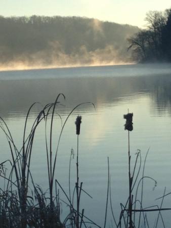 Cattails on edge of White Mound Lake