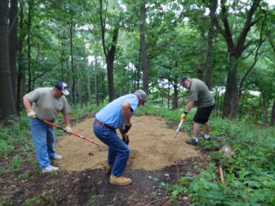 Three Volunteers shoveling wood shavings in the woods